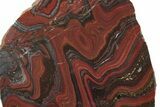 Free-Standing Polished Tiger Iron Stromatolite - Ga #222940-4